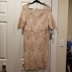 Beautiful blush dress